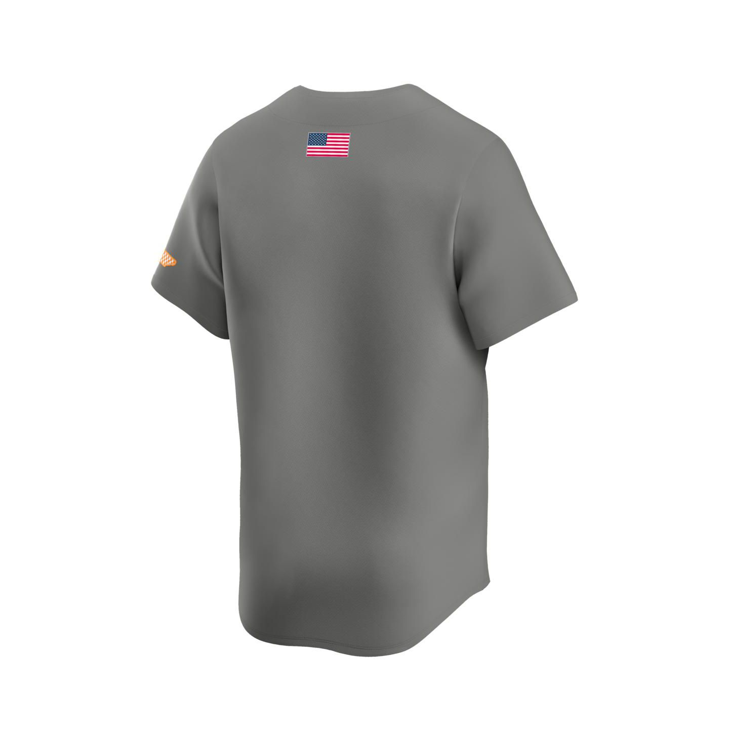 Мужской топ Nike Gray Tennessee Volunteers Alternate Limited Baseball Jersey — фото 3