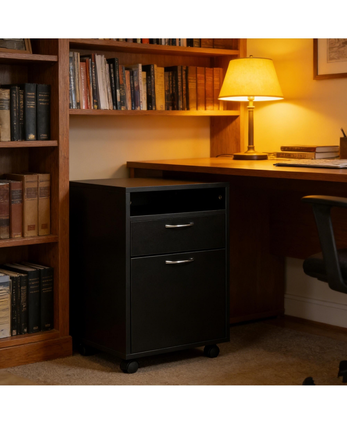 Rainsken Mobile File Cabinet