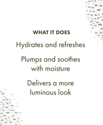 Mega-Mushroom Soothing Hydra-Mist With Reishi & Snow Mushroom