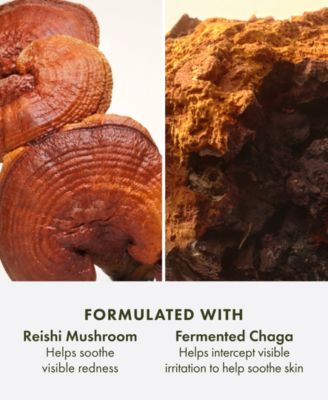 Mega-Mushroom Relief & Resilience Advanced Face Serum, 1.7 oz.