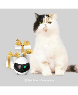 EBO SE FamilyBot Home Camera Robot