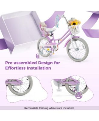 Girls Bike with Doll Seat and Streamers