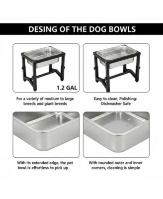 Elevated Dog Water Bowl 4 Adjustable Heights Stainless Steel Stand for Breeds Joint Support