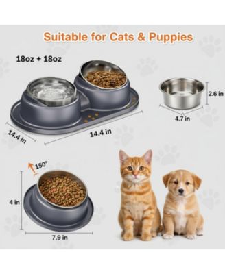 Elevated Stainless Steel Tilted Anti Vomiting Non Spill Cat And Dog Bowls with Mat