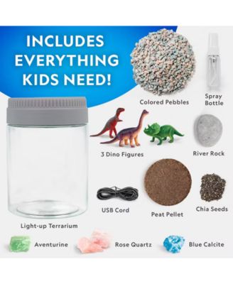 Light-Up Dinosaur Terrarium Kit