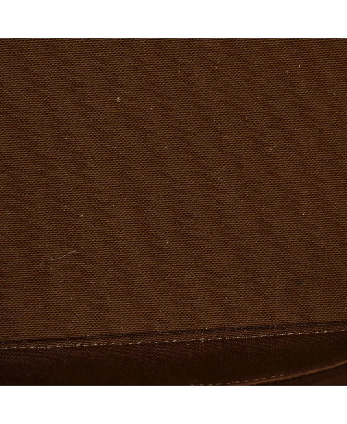 Pre-Owned Celine Medium Bucket Bag Triomphe Coated Canvas