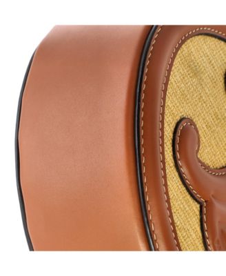 Triomphe Oval Crossbody Bag Canvas and Leather