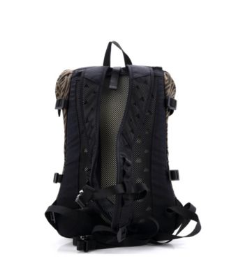 Sarah Coleman Ferrino Ripstop Backpack Vertigo Zucca Canvas