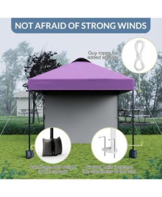 10'x10' Outdoor Canopy Tent with Sidewall, Easy Pop Up with Vented Roof, Outdoor Sun Shade