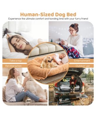 68'' x 46'' x 10'' Human Dog Bed Orthopedic Dog Bed w/ Soft Blanket