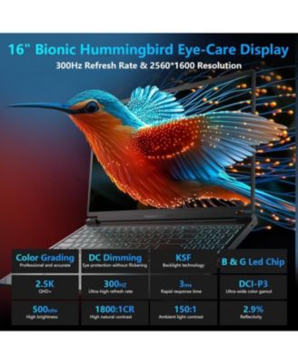 Radiant S 16 Gaming Laptop 16" WQXGA Non-touch 300Hz AMD Ryzen 9 9850HX NVIDIA GeForce RTX 5070 64GB DDR5 2TB SSD Windows 11 Home