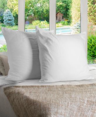 2-Pack Pillows, European