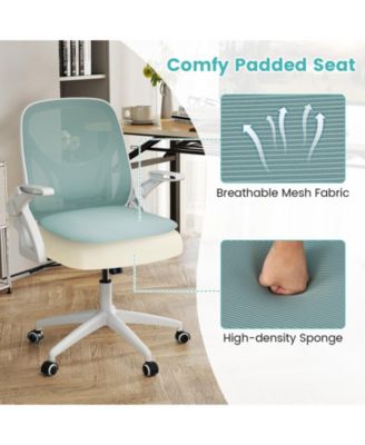 Ergonomic Computer Desk Chair with Lumbar Support and Arms