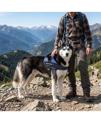 Side Ring No Pull Dog Harness - No Choke, Escape Proof, Reflective, 3 Leash Clips, Comfortable Pet Vest for Medium & Large Dogs