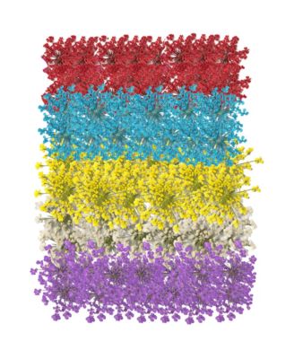 Dried Pressed Flowers Lace Set, 60 Pc. Craft Decor