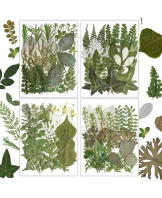 100pcs Dried Flowers Pressed Leaves Craft Kit DIY Soap Candle Scrapbook Card Making Supplies