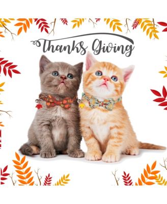 Floral Cat Collar with Removable Bowtie Bandana Bell Breakaway Adjustable Cute Flower Kitten