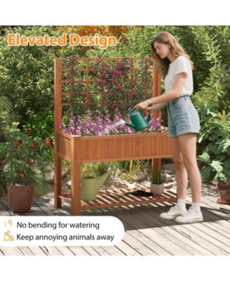 Fir Wood Raised Garden Bed with Trellis and Storage Shelf, 45 x 23 x 59 in Elevated Planter