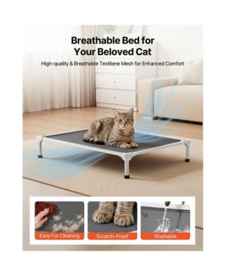 Zeus and Ruta Elevated Cat Bed for Large Cats Portable Raised Cat Cot with XL Gray Pillow Indoor Outdoor Use