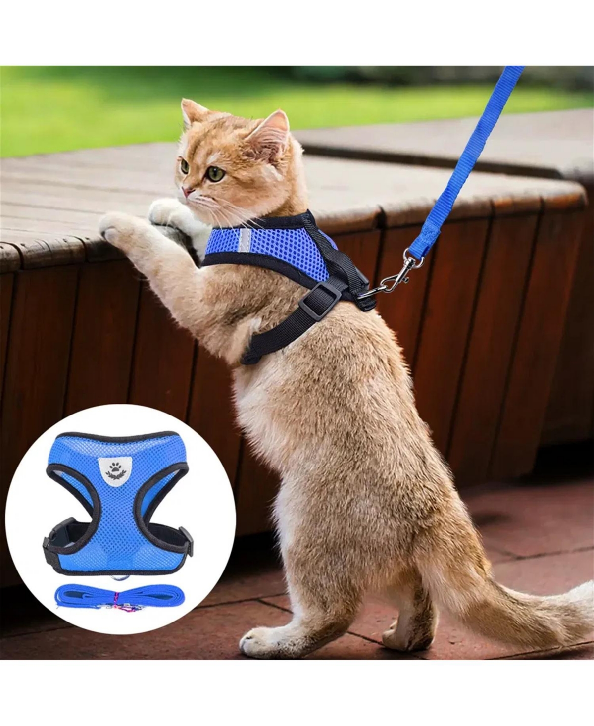 Zeus and Ruta Cat Harness with Adjustable Control Vest, Reflective Straps,and Matching Leash
