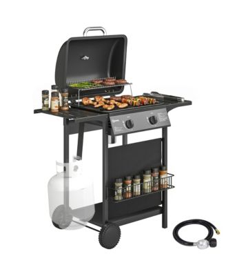 2 Burner Propane Gas Grill, 18000 BTU BBQ Grill with Wheels,