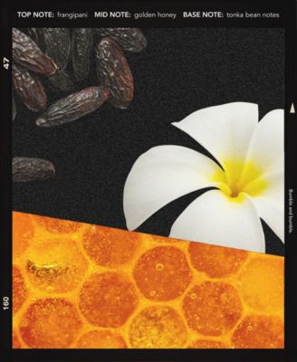 Hairdressers Invisible Oil Heat Protectant Leave-In Conditioner Hair Primer, 12 oz.