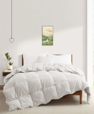 Lightweight Fluffy Goose Down Feather Duvet Insert, Full/Queen