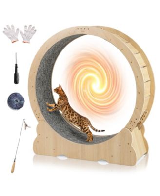 Cat Exercise Wheel 40 inch with Lockable Carpeted Runway