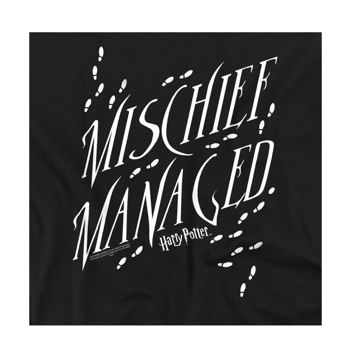Harry Potter Men's Mischief Managed 4 T-Shirt