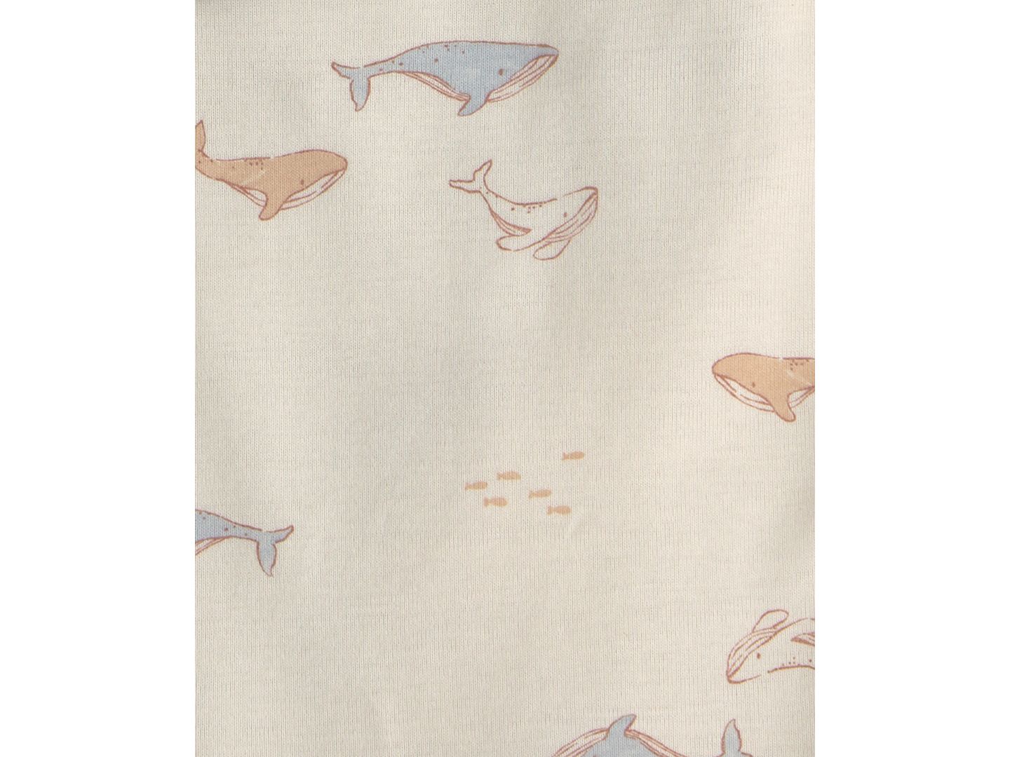 Боди Whale, короткий рукав, 5 шт. — Carter's, цвет: Кремовый / Синий — фото 3