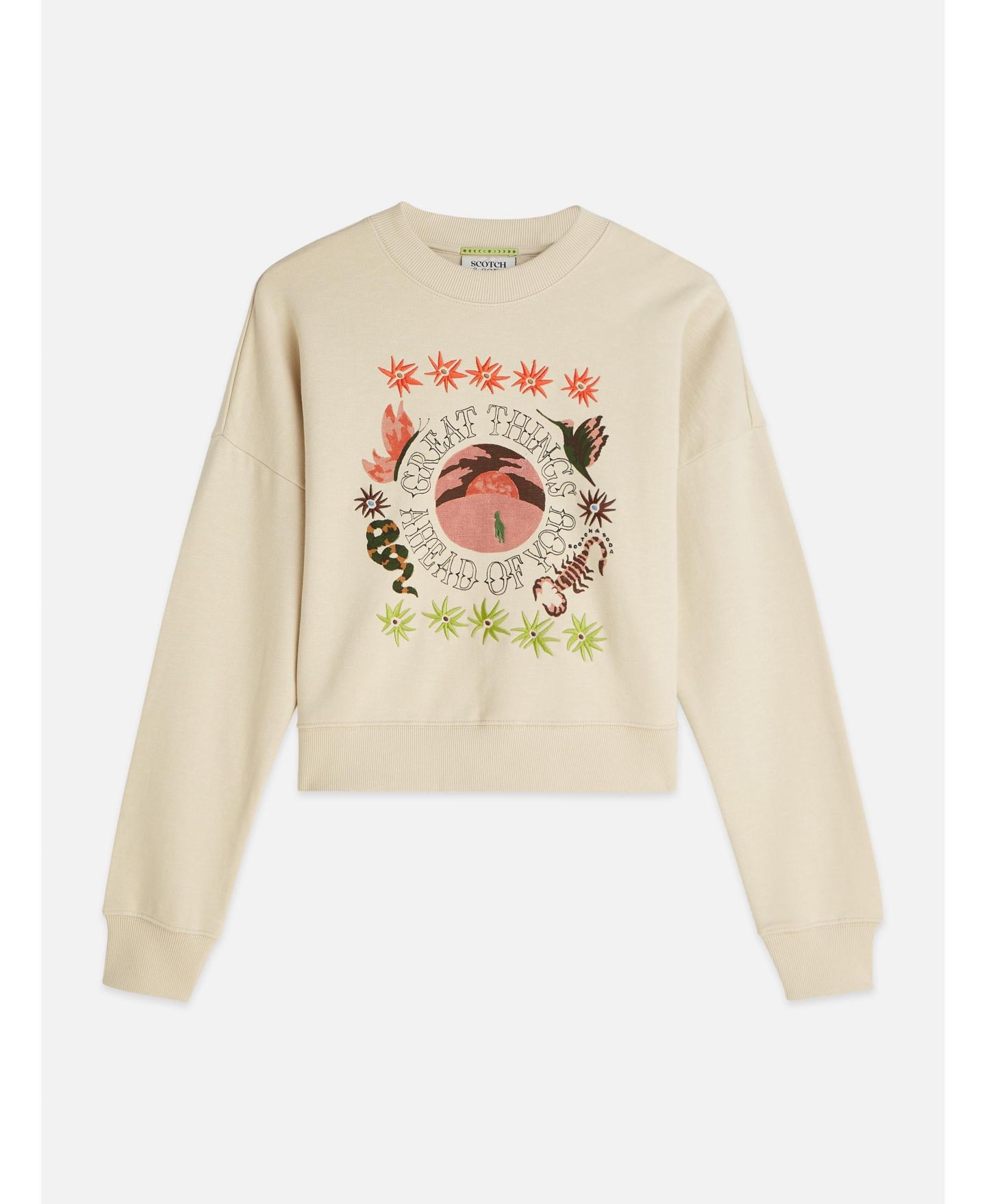 Женский свитшот SCOTCH & SODA Sweatshirts Artwork Relaxed-Fit Sweatshirt, Fog, X-Small, цвет: Туманный — фото 5