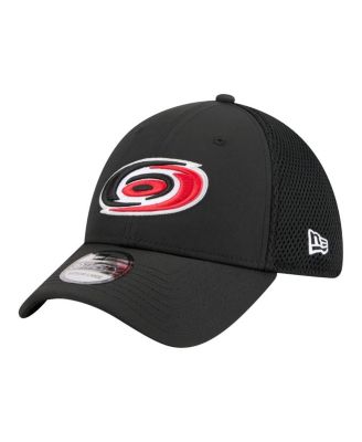 Men's Black Carolina Hurricanes Logo 39THIRTY Flex Hat