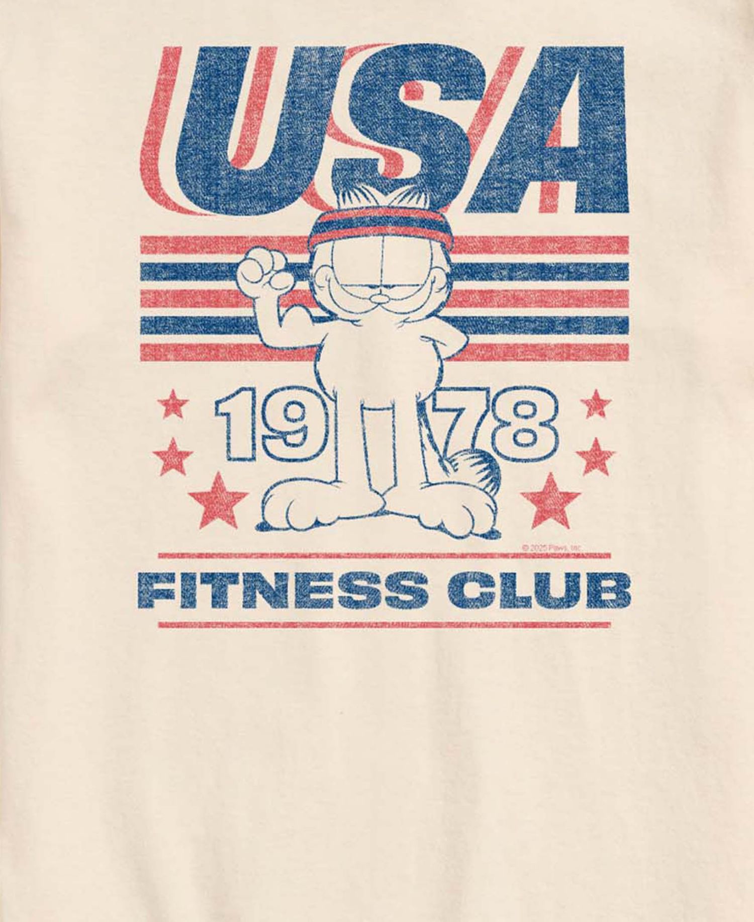 Men's USA Fitness Club 1978 Short-Sleeve Graphic T-Shirt