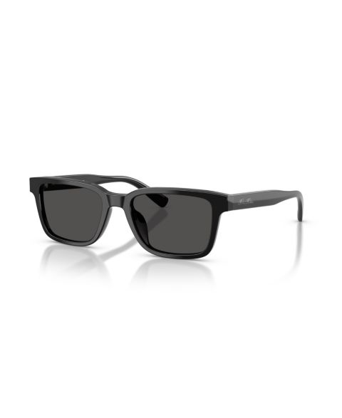 Мужские солнцезащитные очки Brooks Brothers Sunglasses, BB5061U, цвет: Чёрный