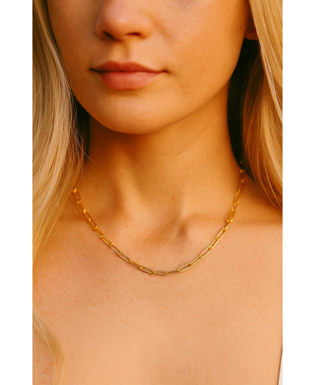 Dloria Ava Paperclip Link Necklace