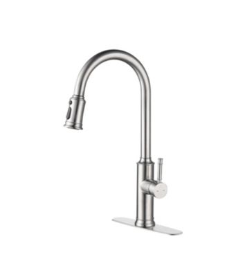Kitchen Faucet with Pull Down Sprayer