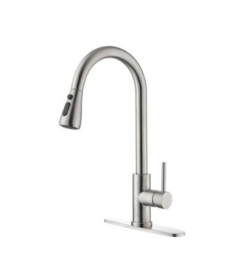 Single Handle Kitchen Sink Faucet with Pull Out Sprayer
