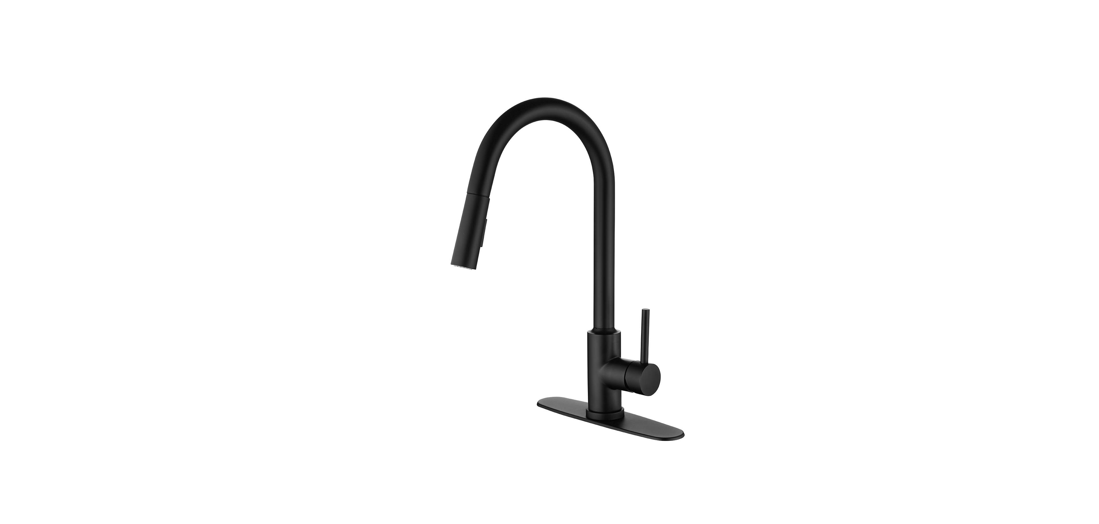 Phying Kitchen Faucet with Pull Down Sprayer
