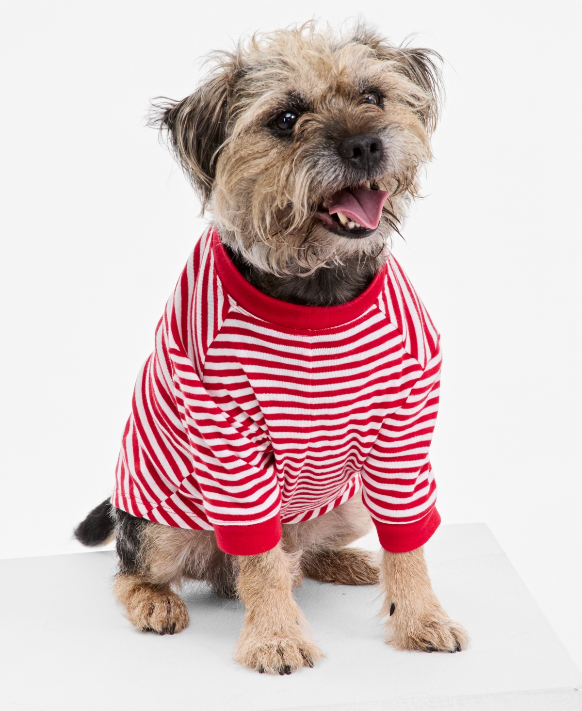 Holiday Lane Brinkley Plaid Cotton Matching Family Pet Pajamas, Created for Macy's - Candy Cane Stripe