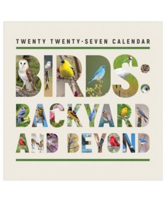 2027 Birds Backyard and Beyond Wall Calendar