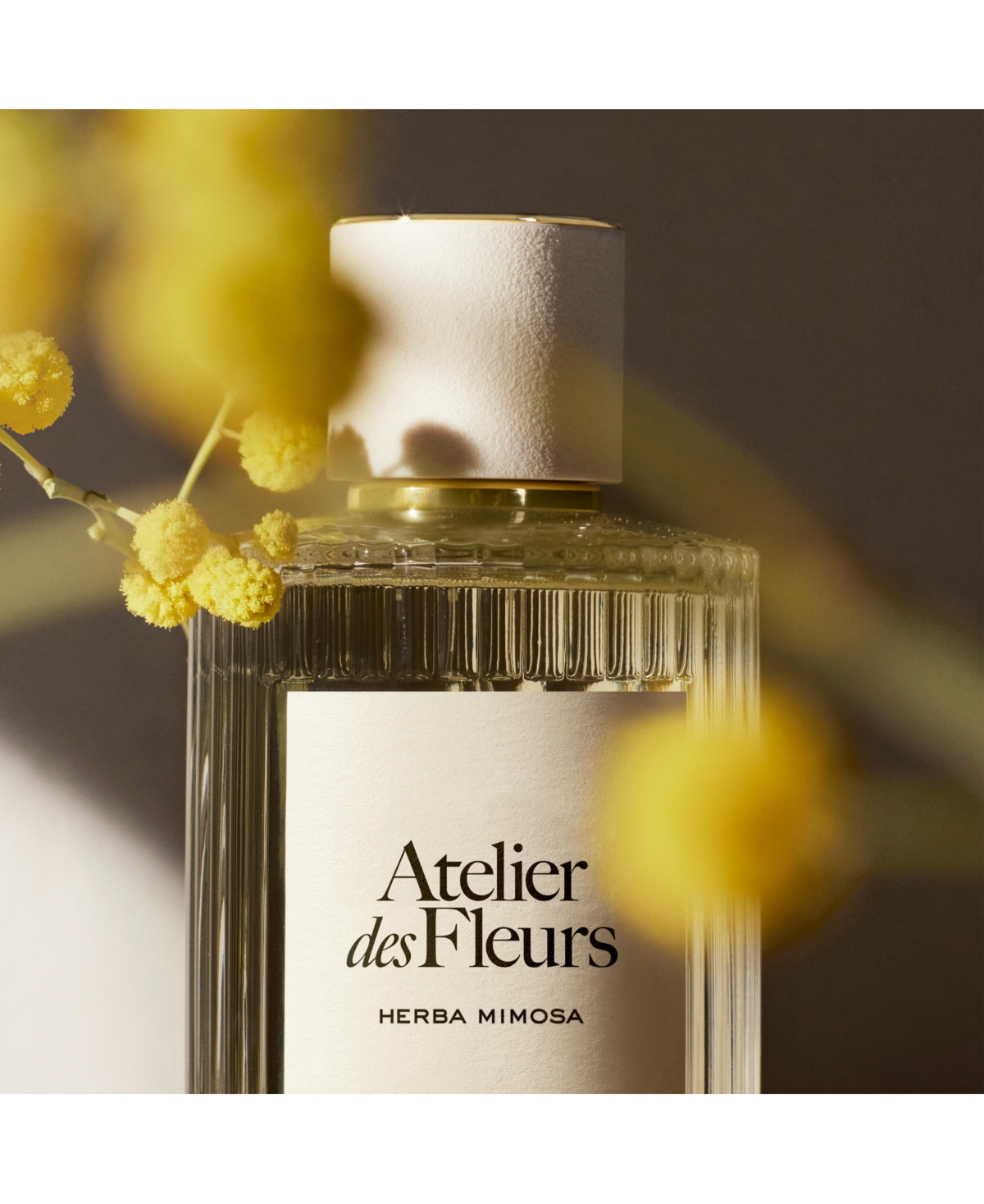 Chloe Atelier des Fleurs Herba Mimosa Eau de Parfum Spray, 1.6 oz.