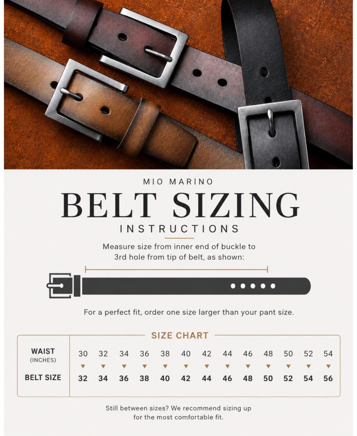 Mio Marino Men's Intrepid Casual Prong Belt