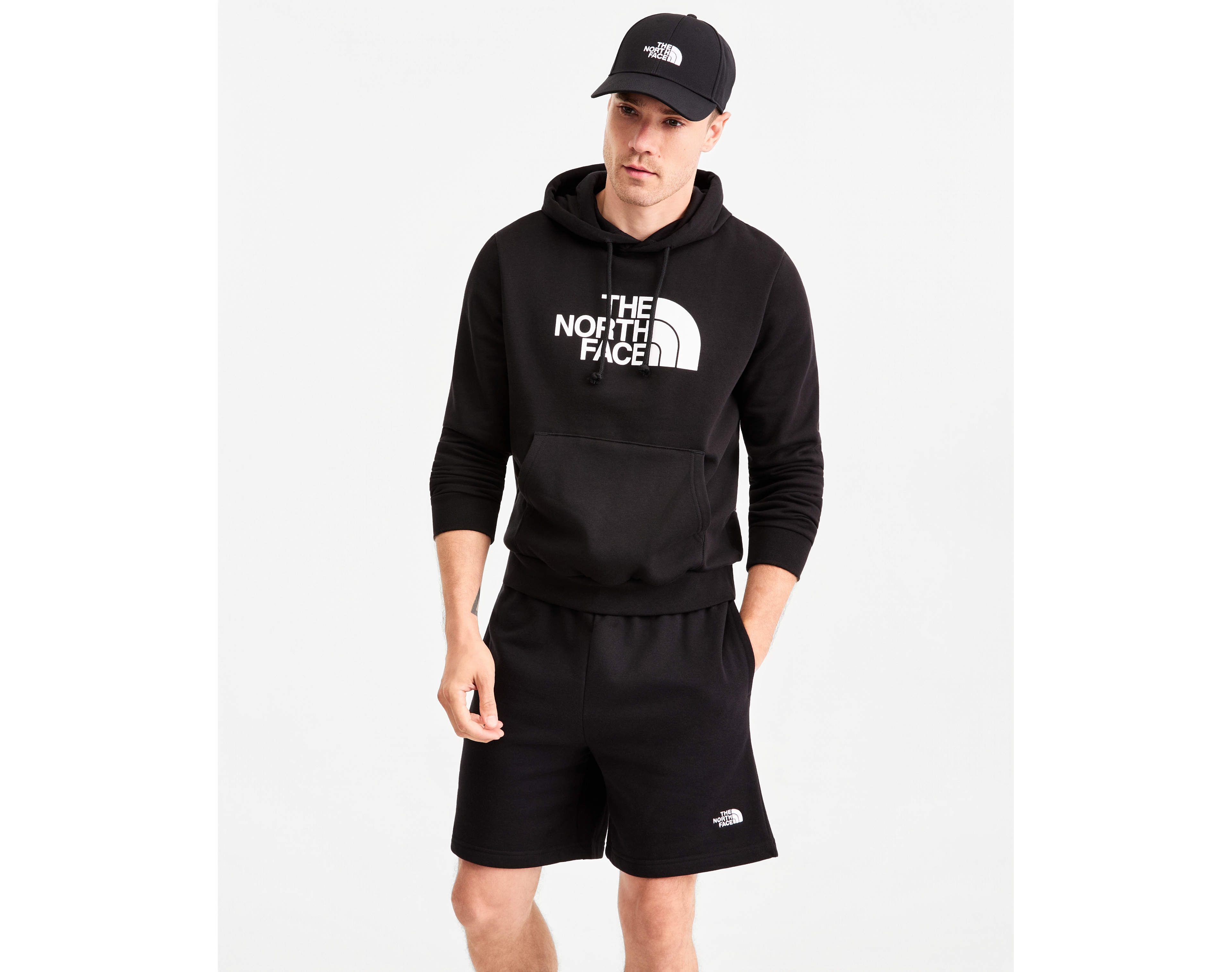 The North Face Men's Evolution Half Dome Pull Over Hoodie
