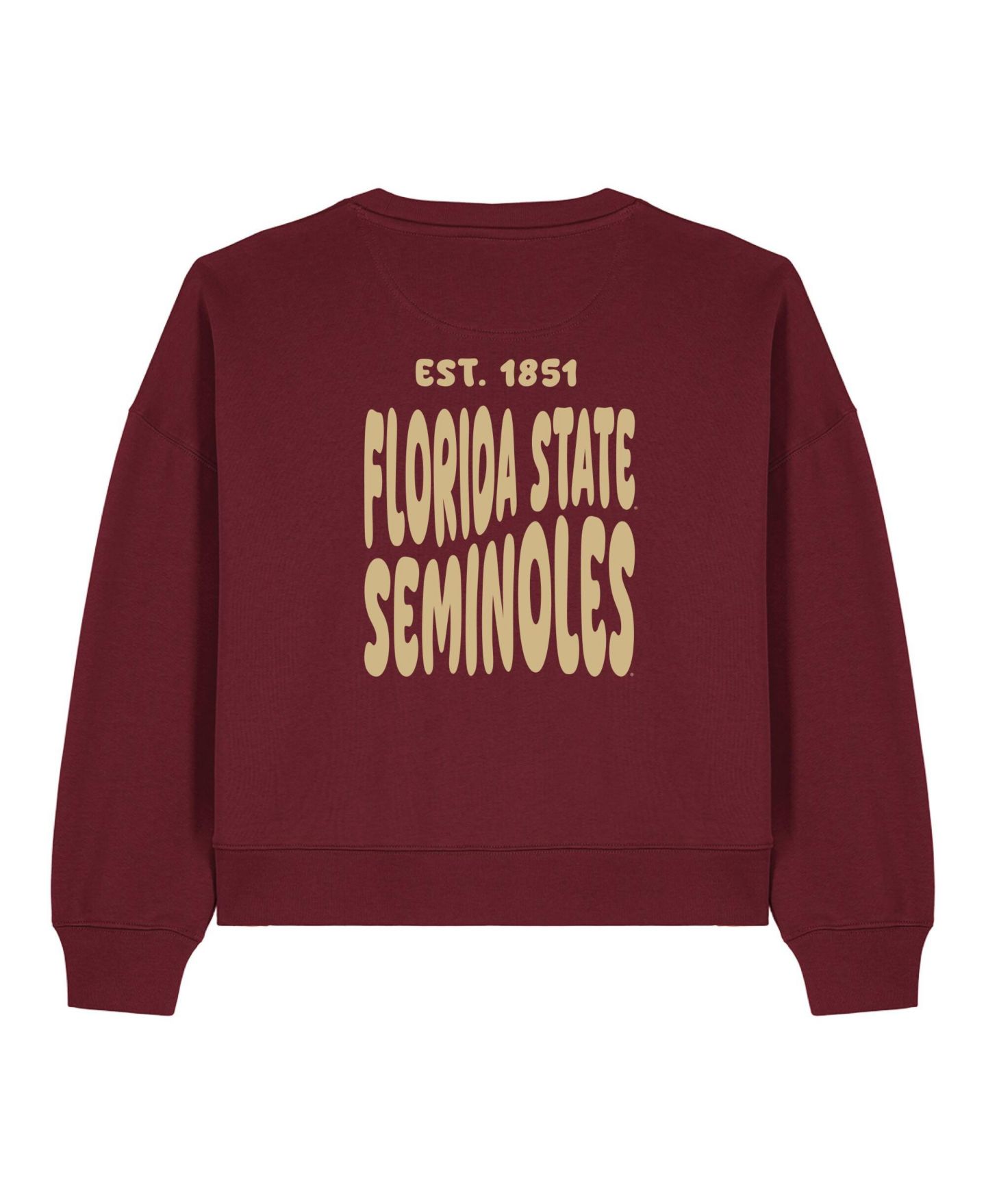 Женская толстовка Uscape Apparel Garnet Florida State Seminoles Cloud — фото 3