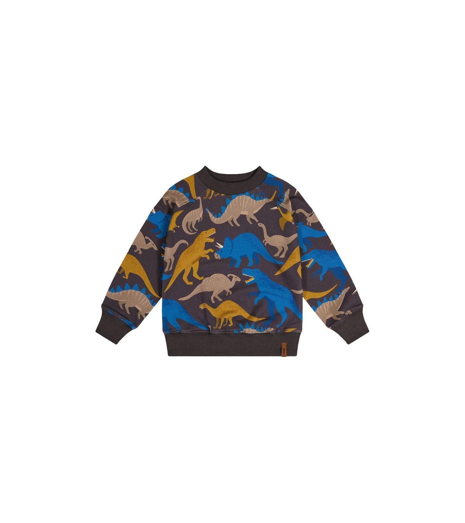 Little Boys (6-12) Fleece Sweatshirt