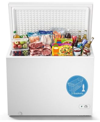 10.0 Cu.Ft Chest Freezer with 3 Baskets