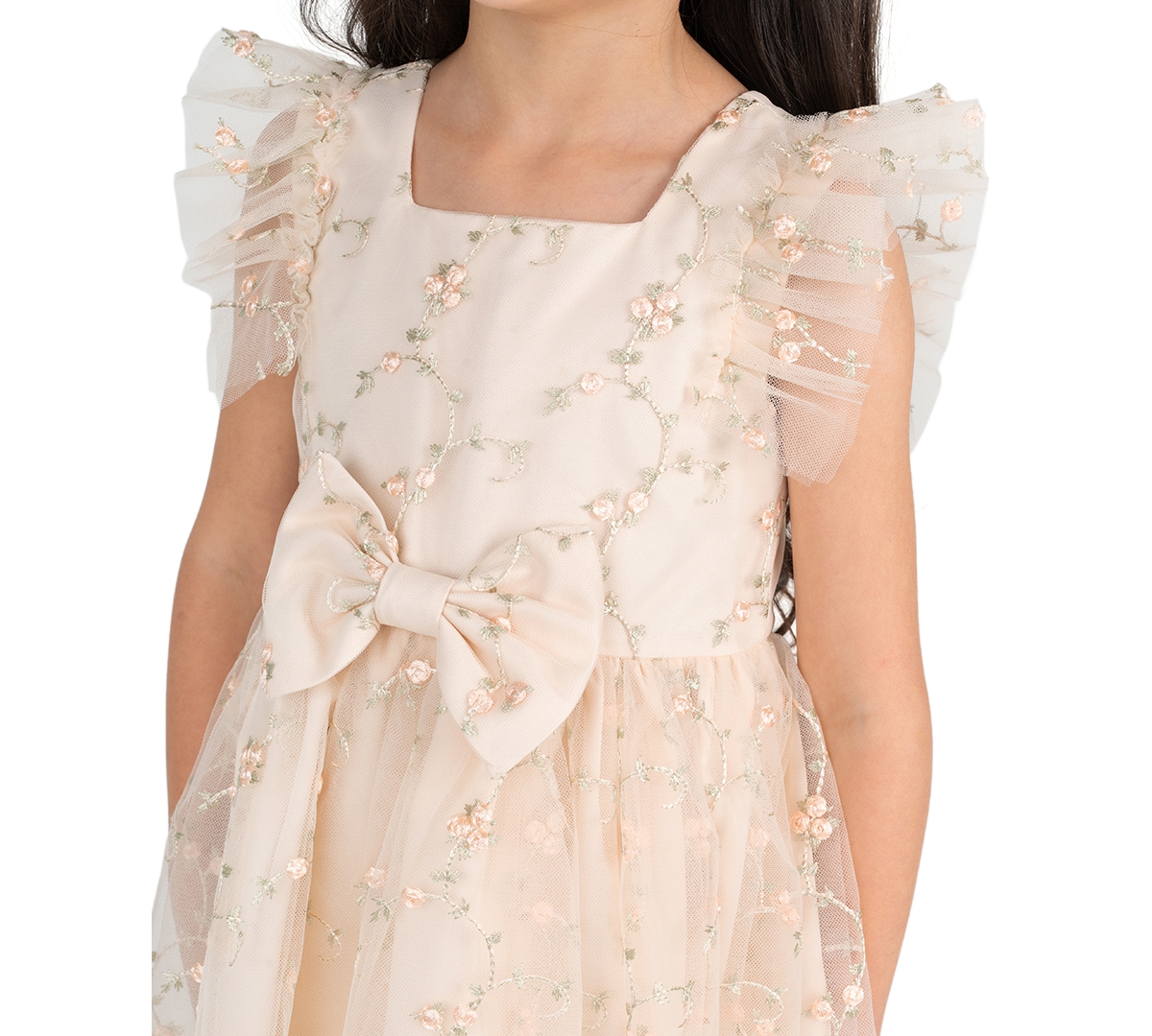Rare Editions Girls' 2T-6X Embroidered Mesh Flutter Sleeve Dress