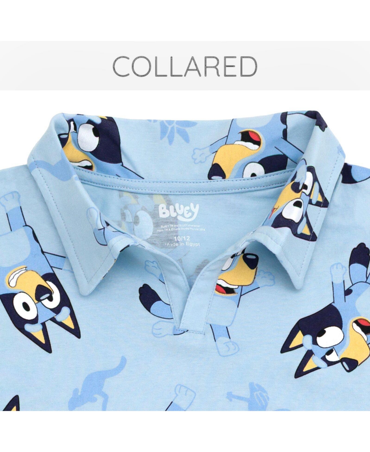 Bluey Toddler Boy's 2T -4T 2-Piece Polo and Pants Set