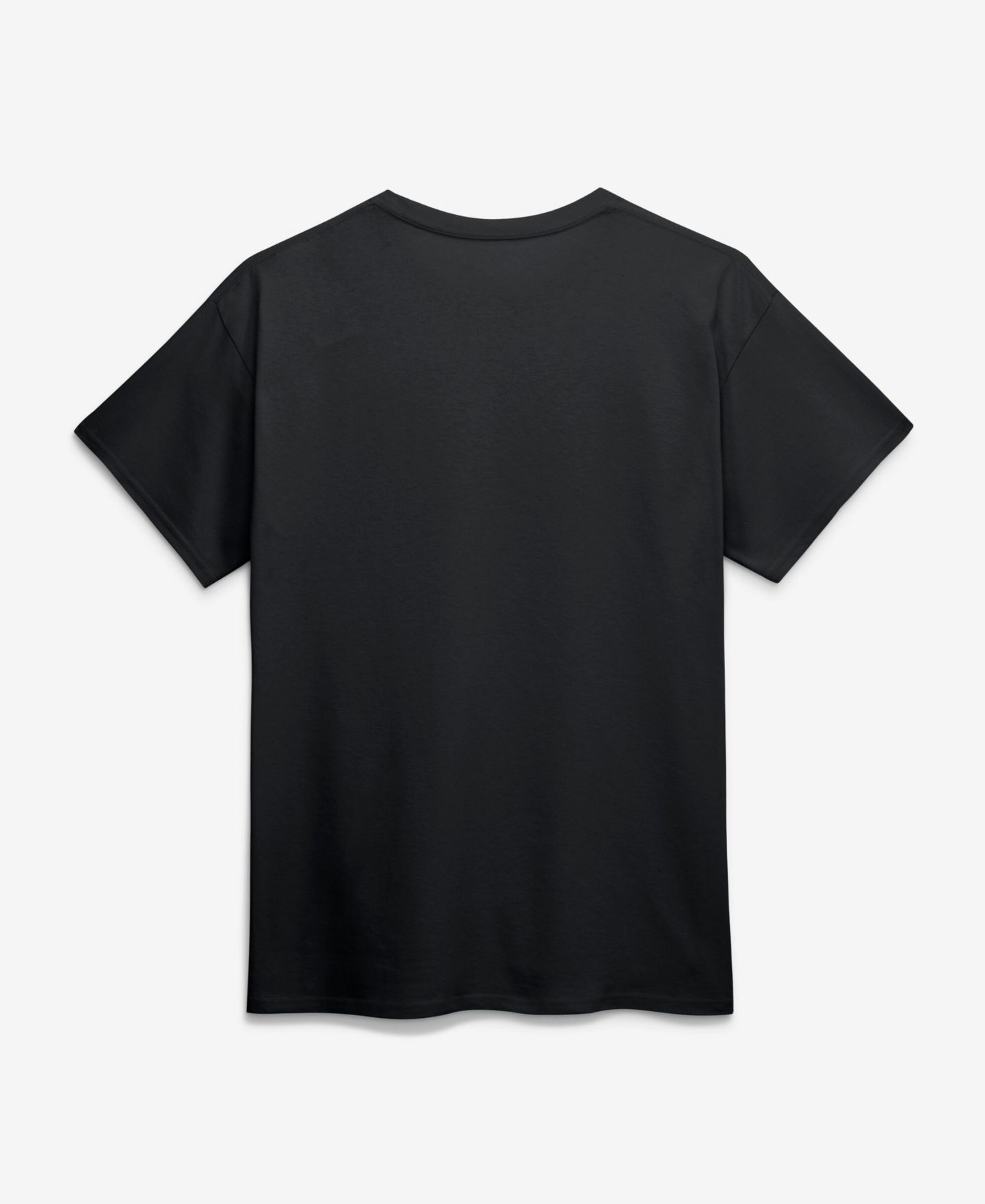 Мужская футболка Logo Athletic Black Detroit Lions Primary Logo — фото 2