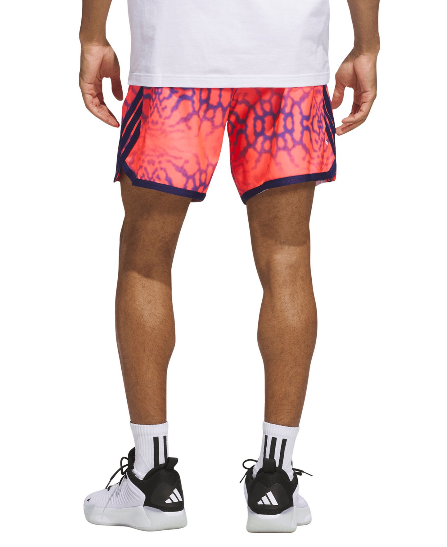 Мужские шорты adidas Crazylite Graphic, цвет: Solar Turbo — фото 3